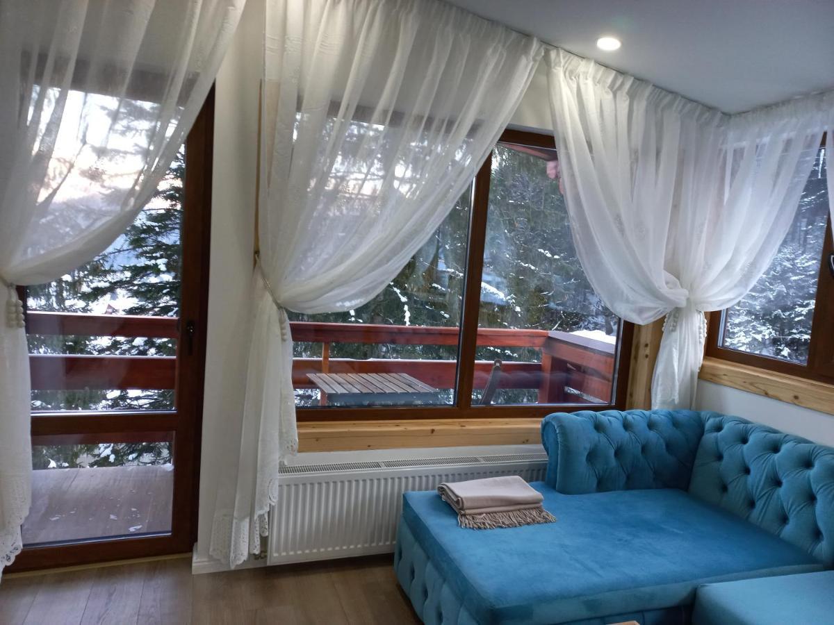 Kalinderu Luxury Ski Loft Buşteni Extérieur photo