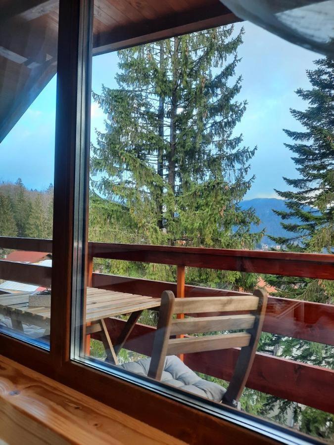 Kalinderu Luxury Ski Loft Buşteni Extérieur photo